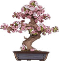 Houten bouwpakket - Bloemen - Sakura Bonsai - 263 onderdelen - Rolife