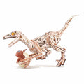 Houten bouwpakket - Velociraptor - ROKR