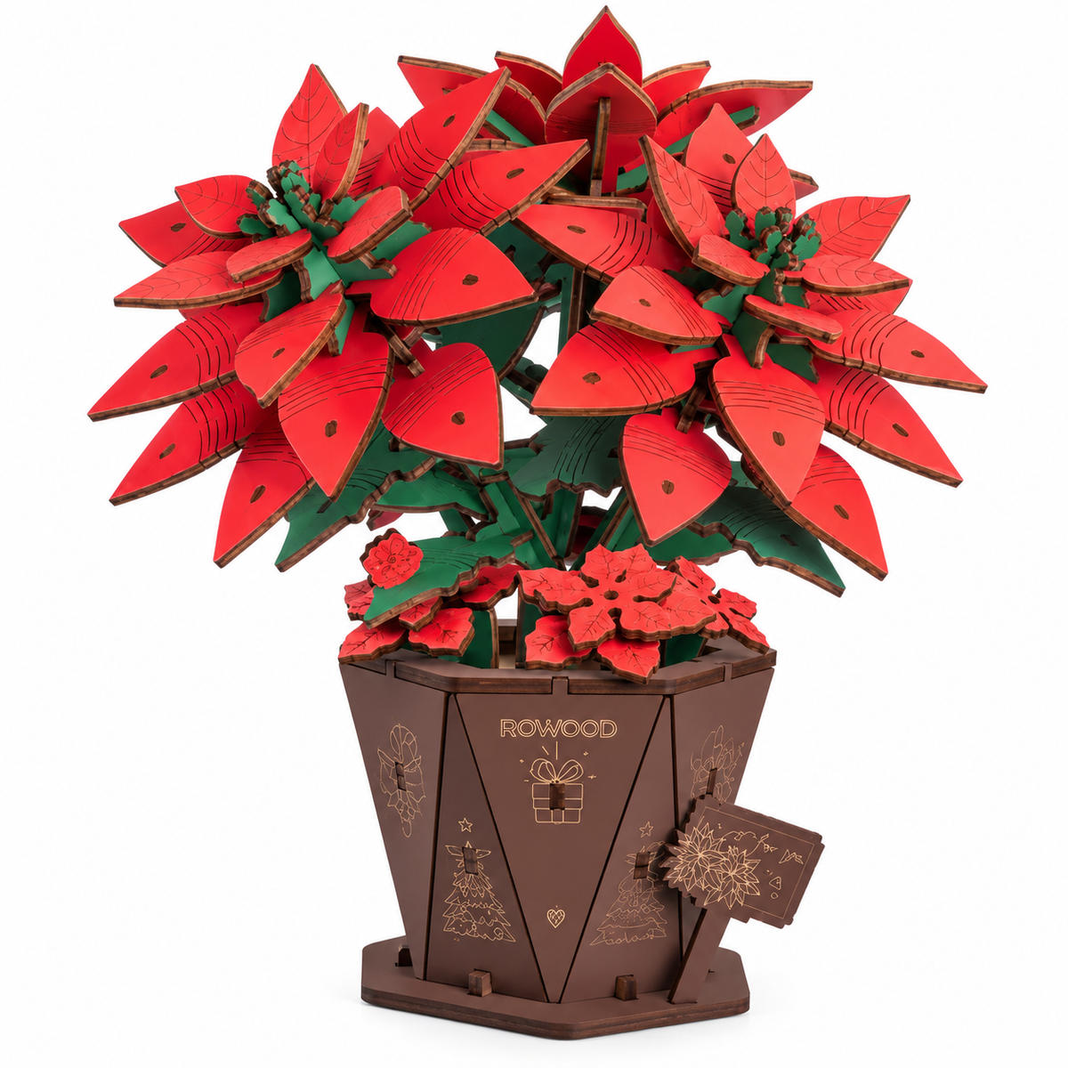Houten bouwpakket - Bloemen - Kerstster (Poinsettia) - 153 onderdelen - Rowood